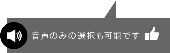 音声のみの選択も可能です